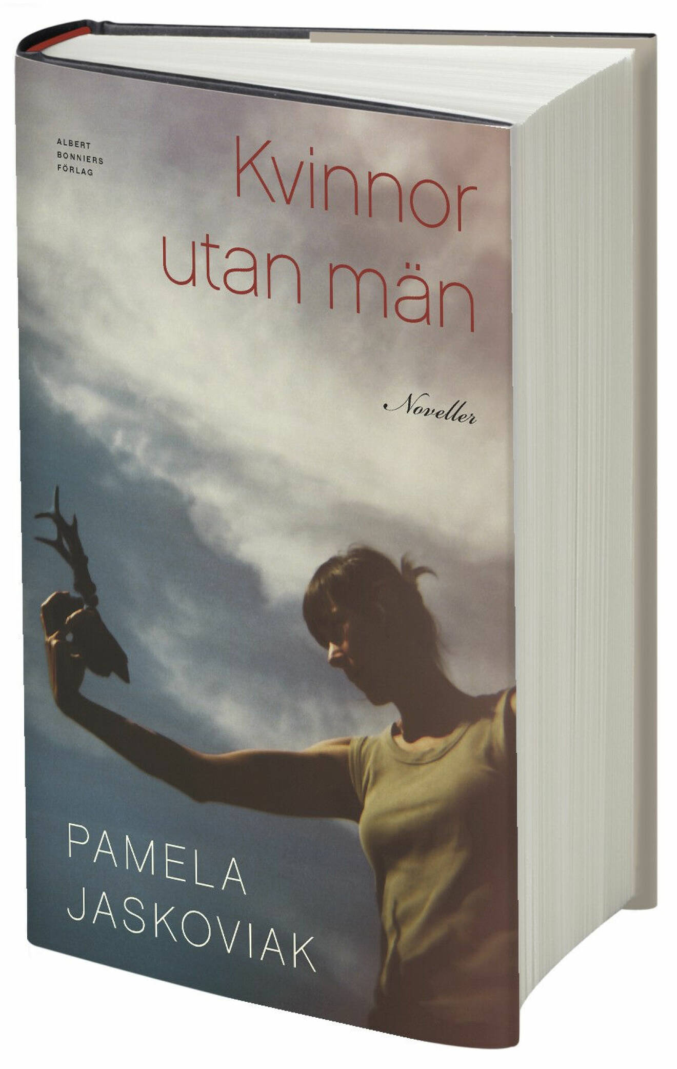 Kvinnor utan män av Pamela Jaskoviak.