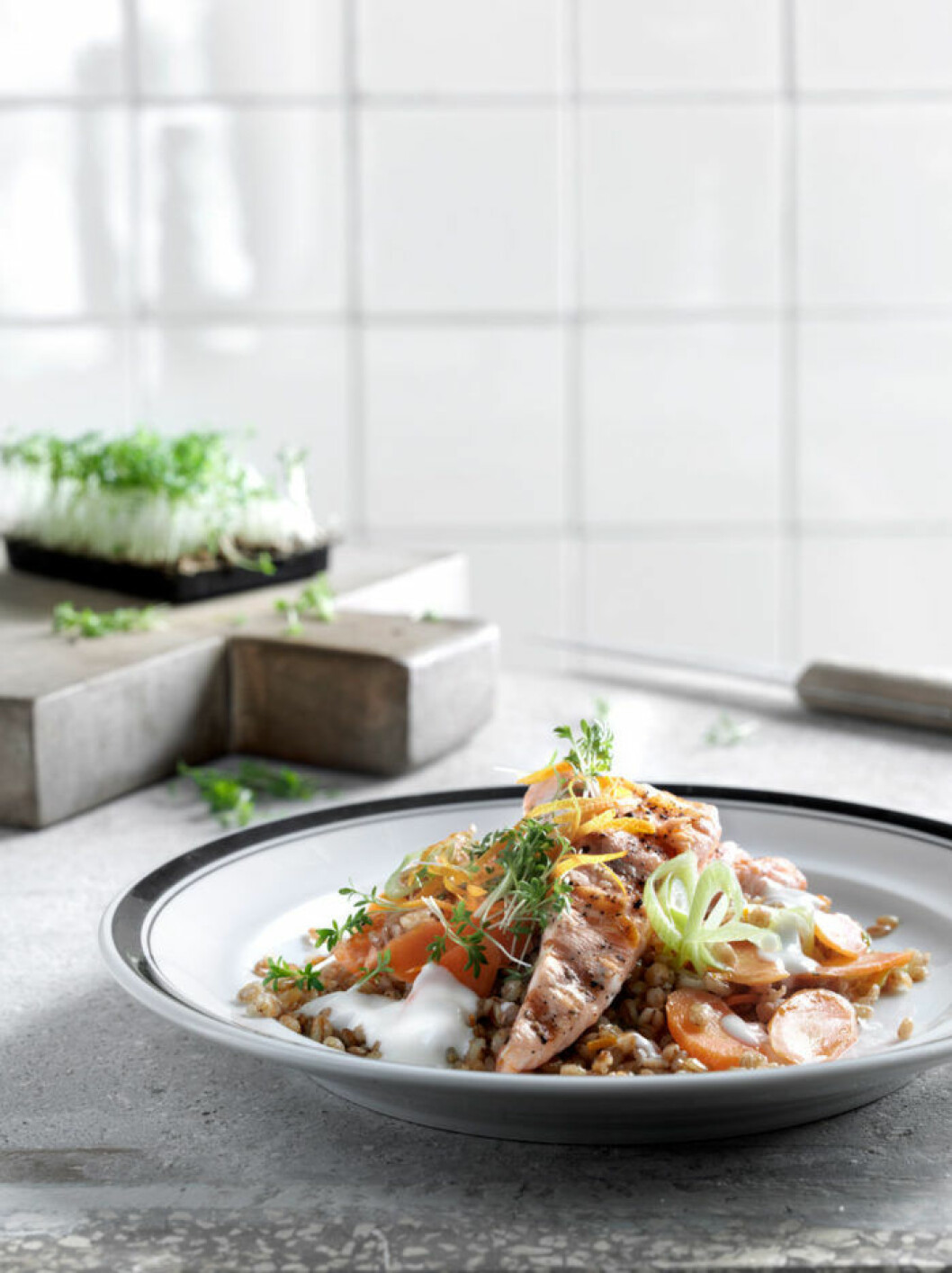 LAX MED MATVETESALLAD laxsallad i tallrik på köksbänk