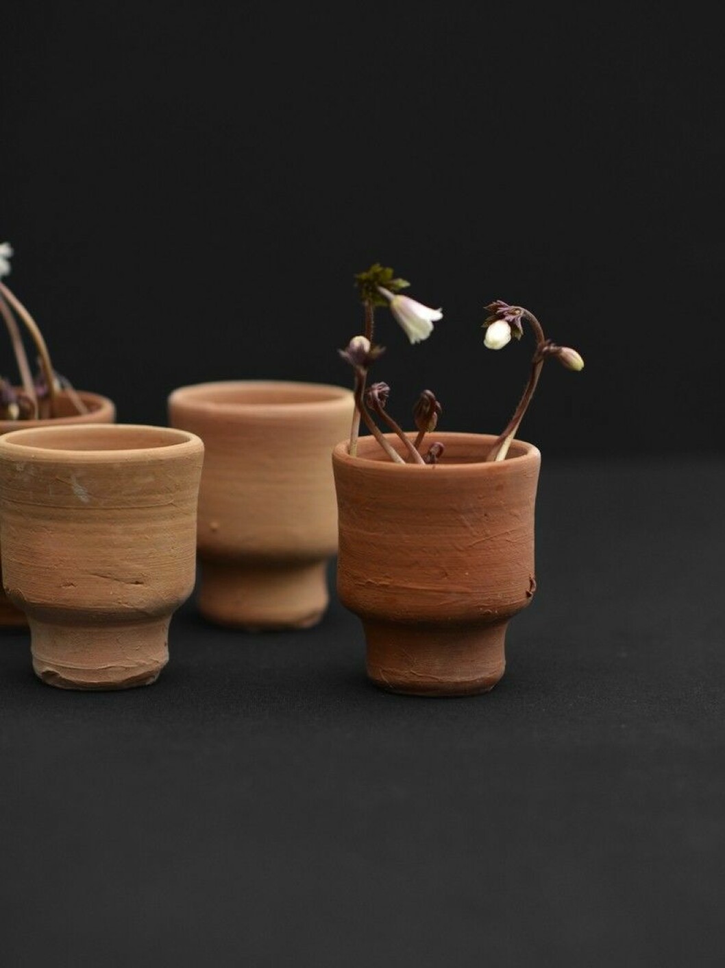 lerkruka Japanese