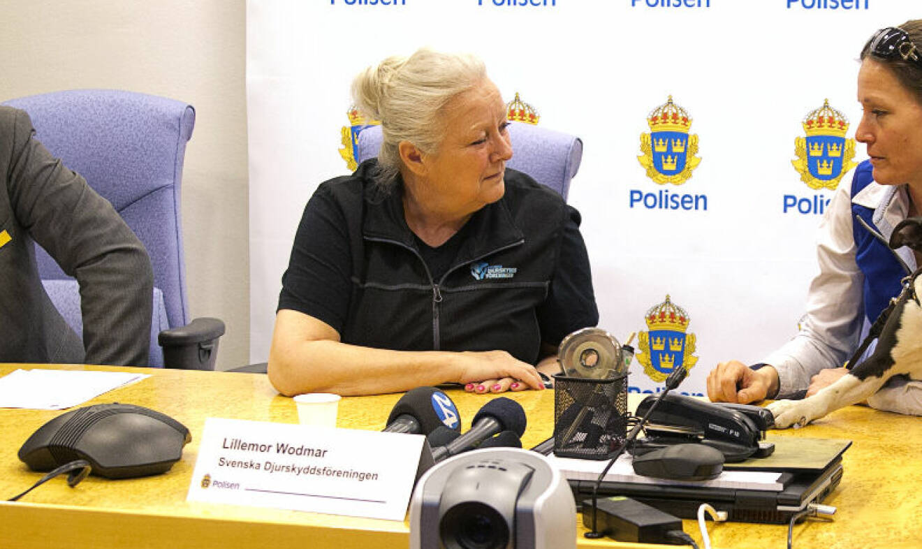 Lillemor Wodmar, tidigare Österlund.