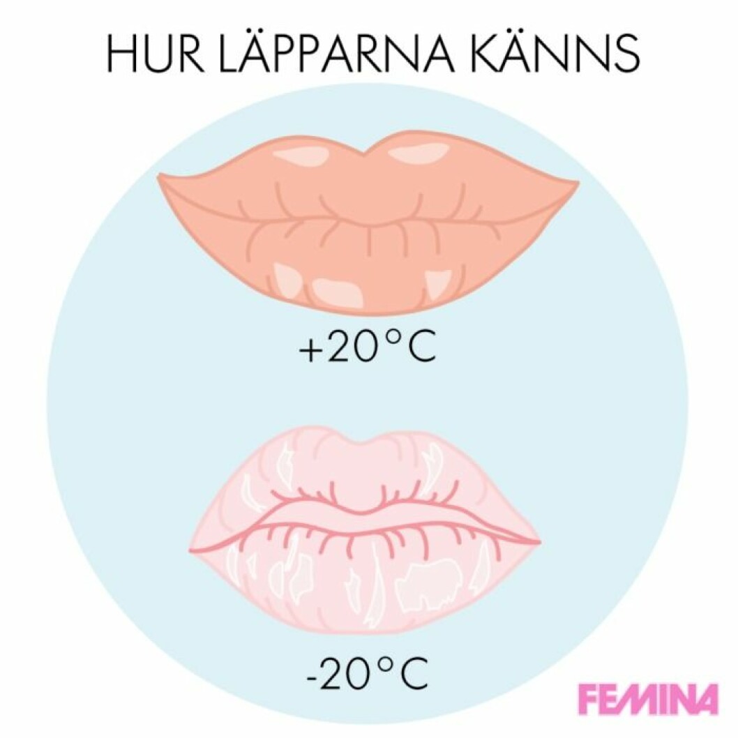 lipsfemina