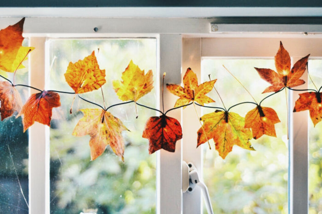 Foto: <a href="http://wallflowerkitchen.com/diy-autumn-leaf-fairy-lights/" target="_blank" rel="noopener">Wallflower kitchen</a> Ljusslinga med höstlöv