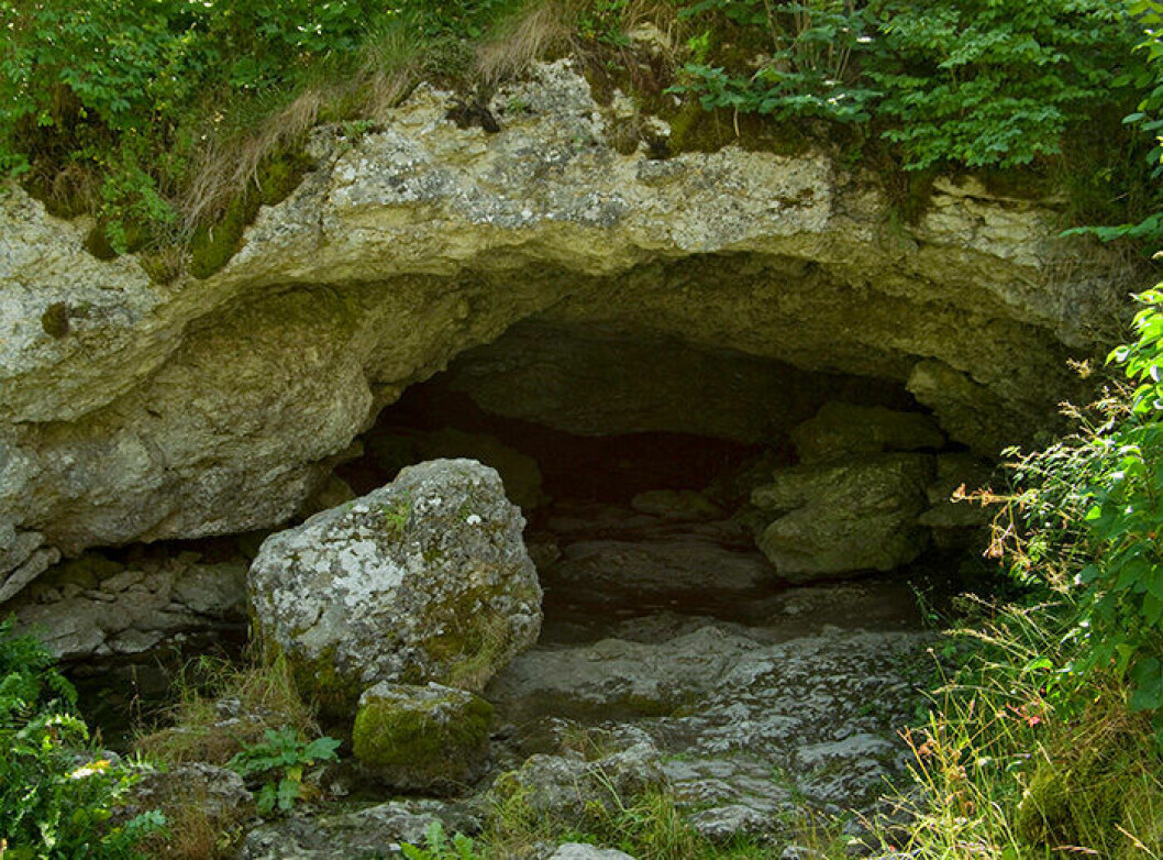 Ingången till Lummelundagrottan på Gotland. Foto: Mikael Gustafsson/N/TT En bild på ingången till Lummelundagrottan på Gotland.