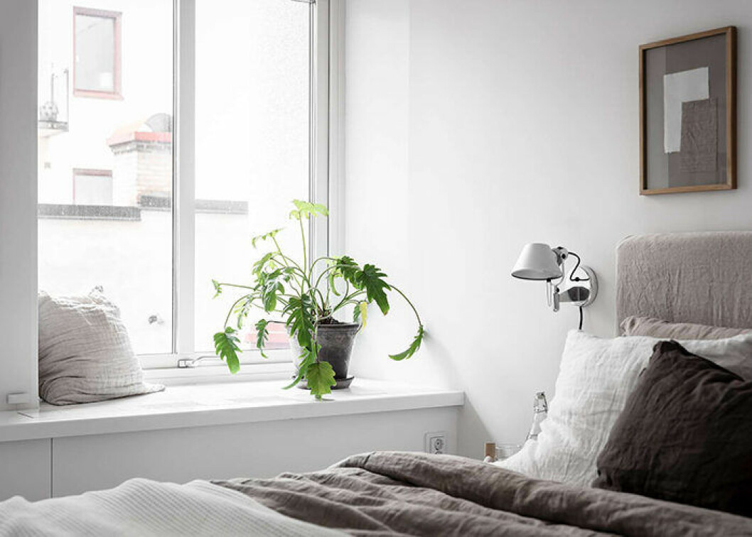Foto: Anders Bergstedt Styling: Grey Deco för Alvhem/mäklare: Andreas Lundberg Inred med växter i sovrummet