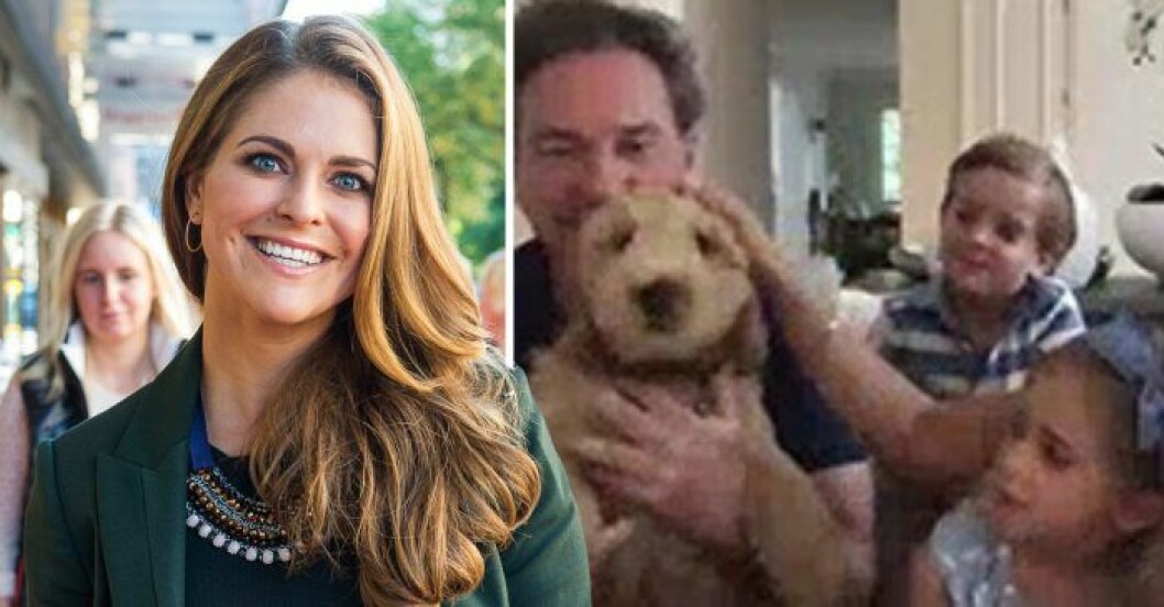 Valpen Teddy har nyligen flyttat in hos Madeleine och hennes familj i Florida. prinsessan madeleines nya hundvalp