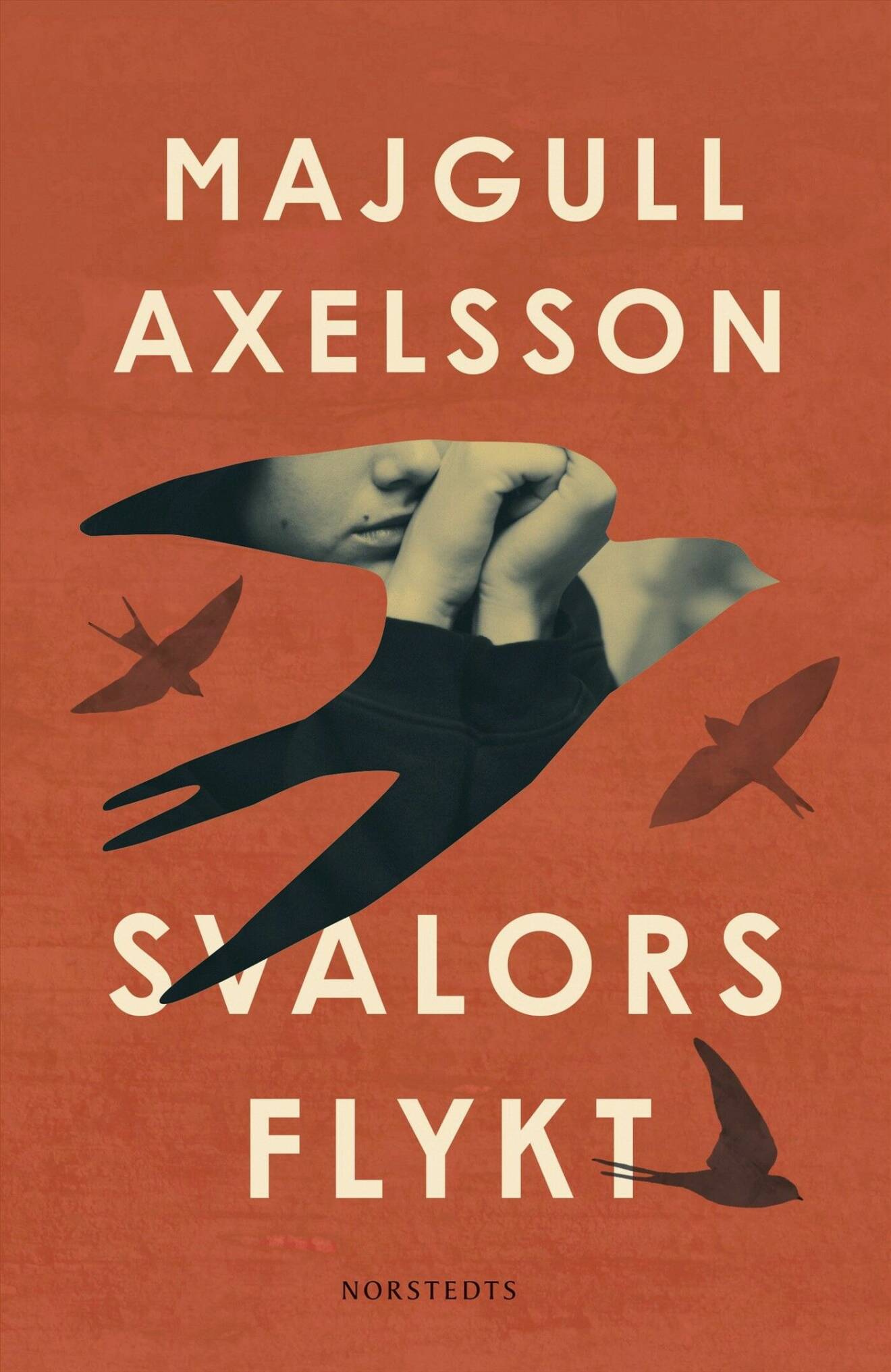 Majgull Axelssons nya roman Svalors flykt