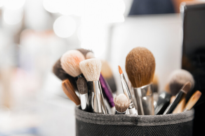 Background make-up soft brushes for artist, light color. rena makeupborstar