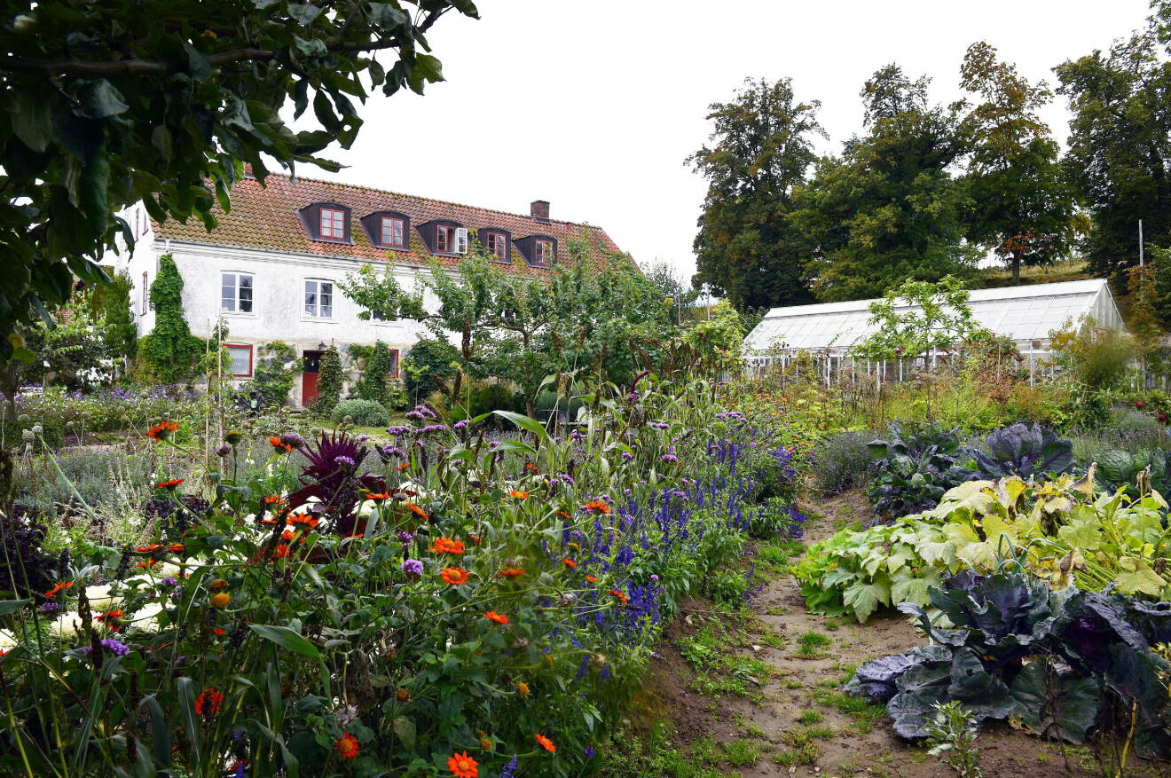 Mandelmanns Trädgårdar under sommaren med blomstrande ängar.