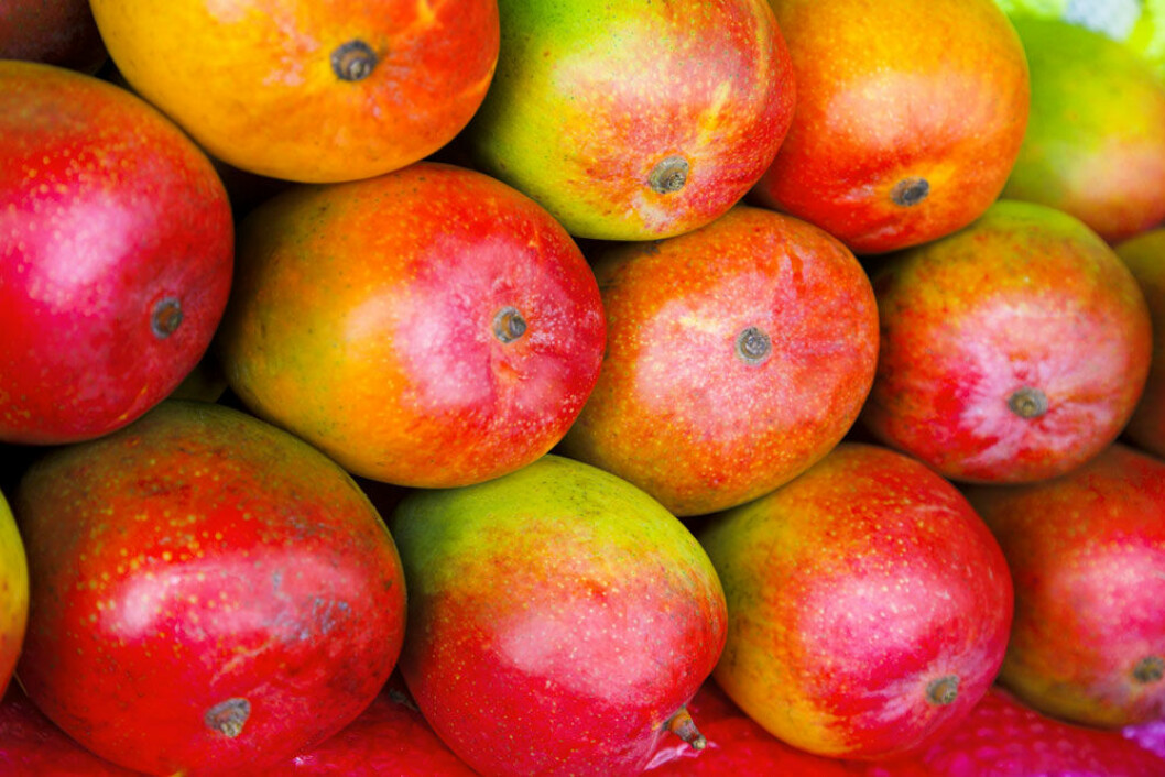 Staplade mangos