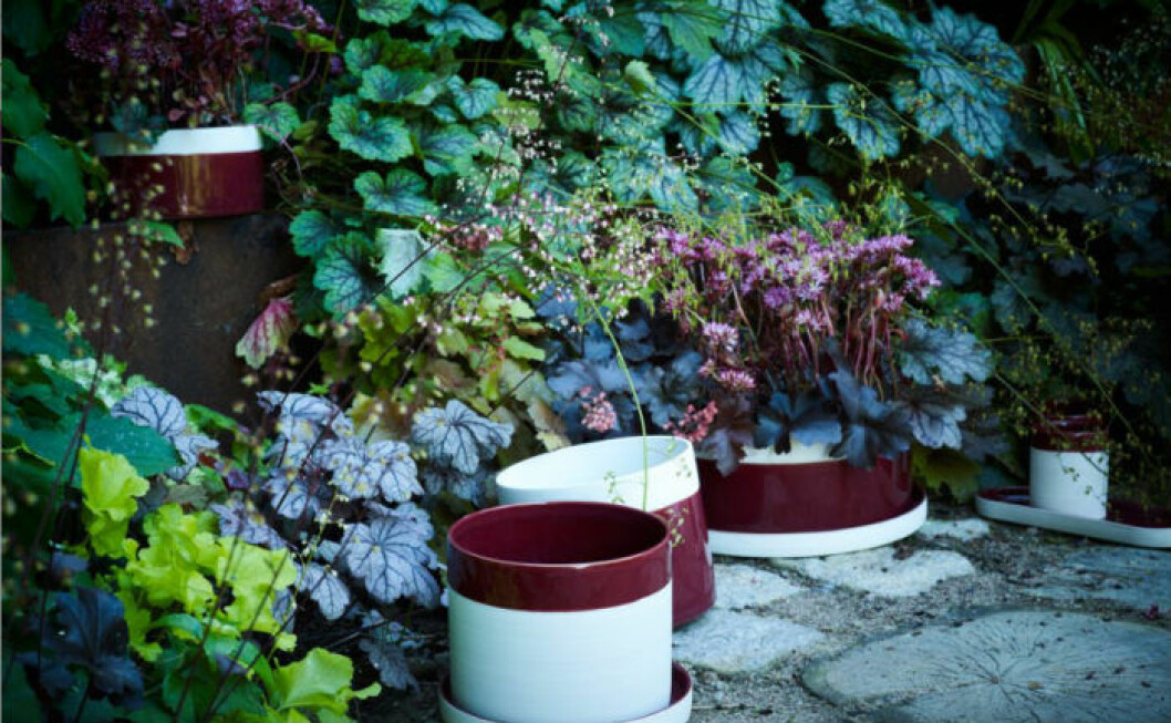 mateus-theurbangardencollection-formex