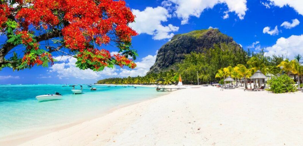 Mauritius. Bild: TT/Stockfoto Mauritius