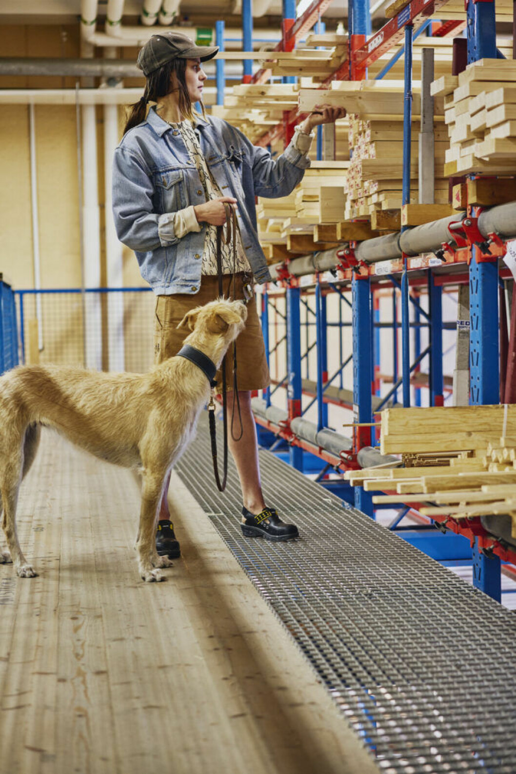 Moa Brännström Ott och hunden Stella väljer planhyvlad ek eller furu till finsnickeri. Välj rätt trä när du ska snickra