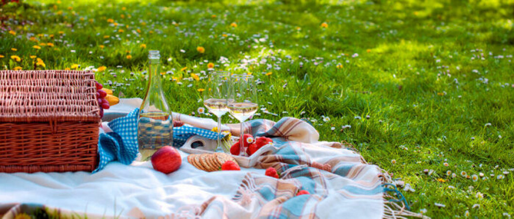 Bor du tillräckligt nära för att kunna träffa din mamma är picknick ett bra tips. Då kan ses och umgås utomhus på behörigt avstånd.