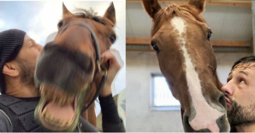 Hästar och ridning blev en viktig del av vägen tillbaka för Musse Hasselvall. Foto: Från Musses eget Instagram @mussehasselvall Hästar och ridning blev en viktig väg tillbaka för Musse Hasselvall.