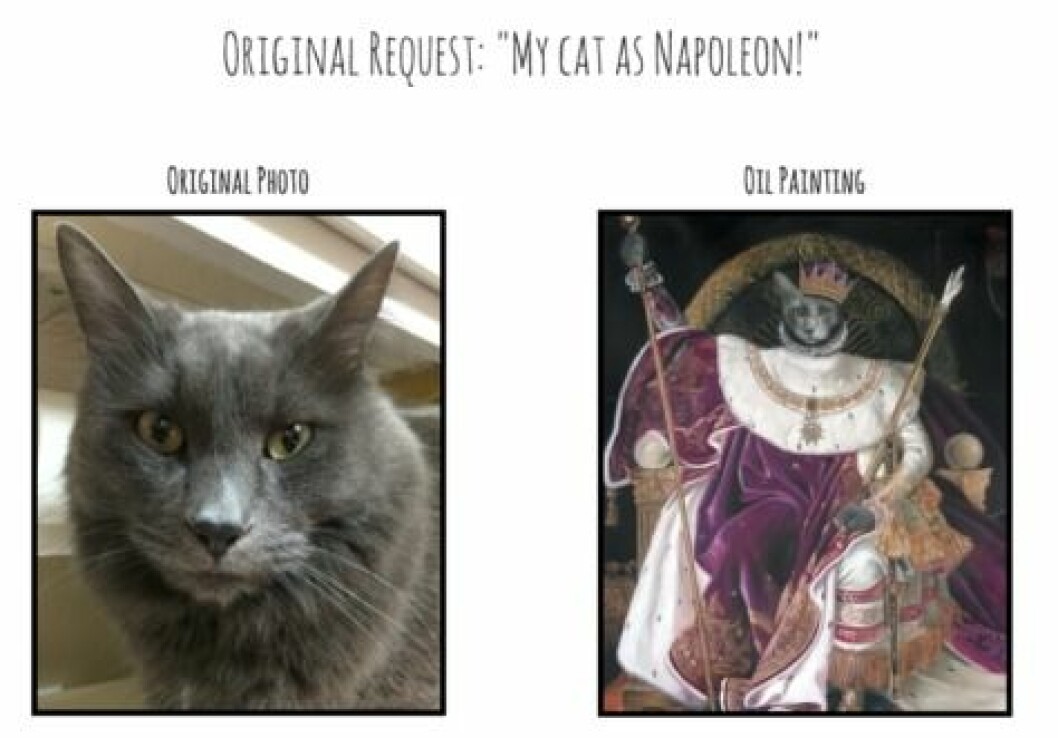 Foto: Splendid Beast napoleon-katt