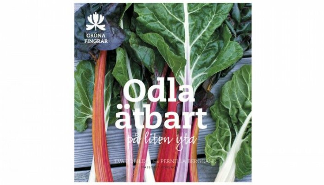 Odla-atbart-pa-liten-yta-av-Eva-Robild