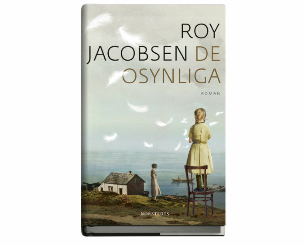 De osynliga av Roy Jacobsen omslag boken De osynliga