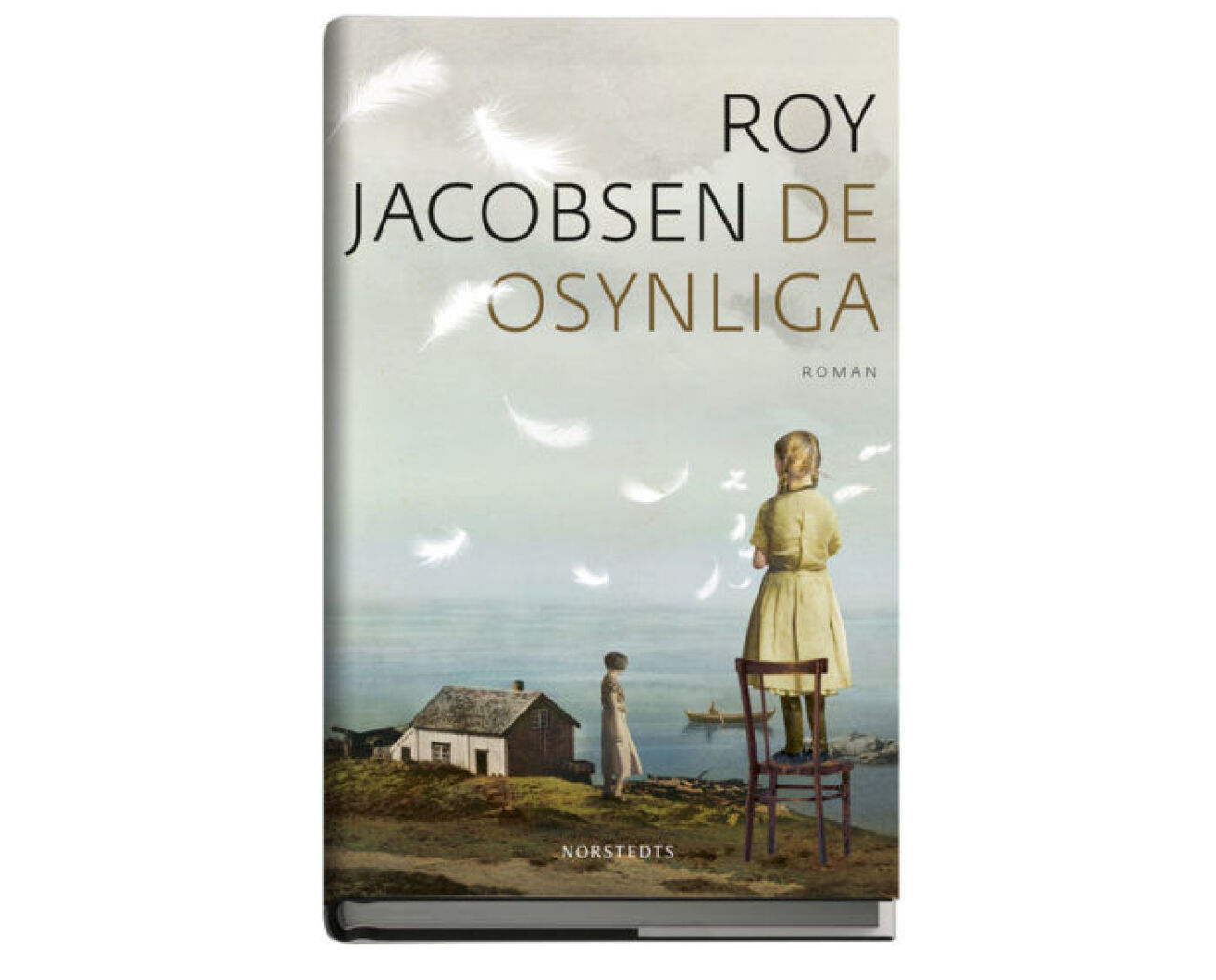 Recension av boken De osynliga av Roy Jacobsen | Femina
