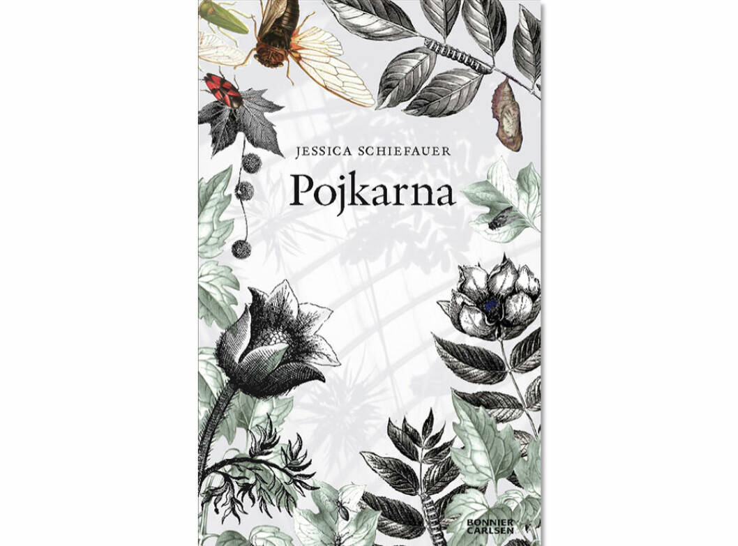 <em>Pojkarna</em> av <strong>Jessica Schiefauer</strong> (Bonnier Carlsen) Omslag boken Pojkarna