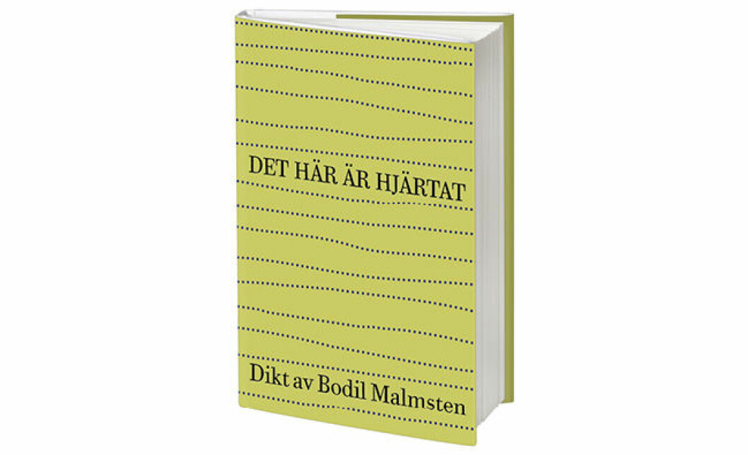 boken Det här är hjärtat