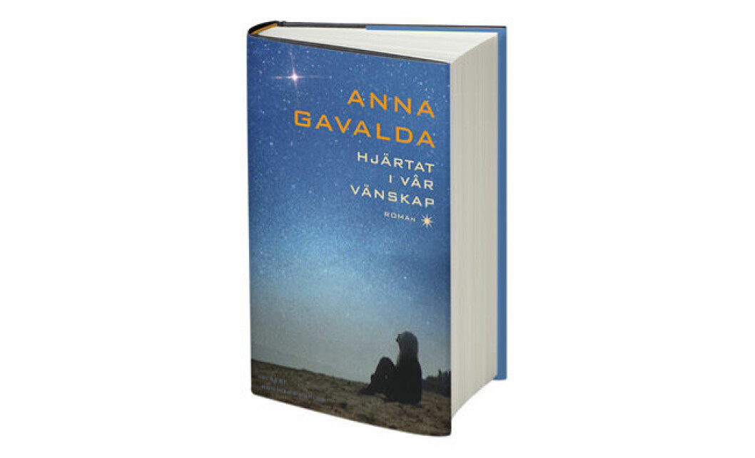 Omslag boken Hjärtat i vår vänskap av Anna Gavalda