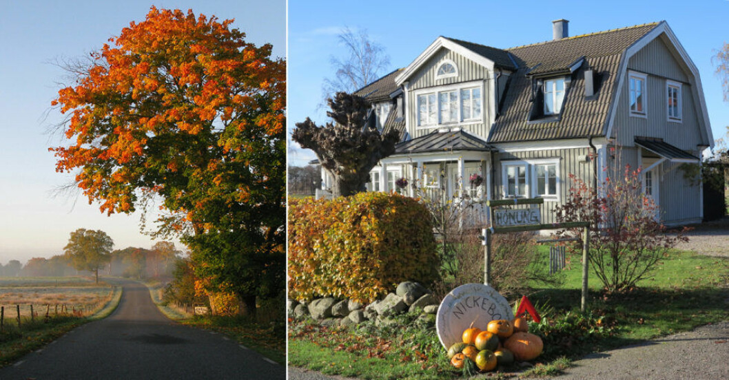 Lantlig idyll i Sillaröd, Österlen