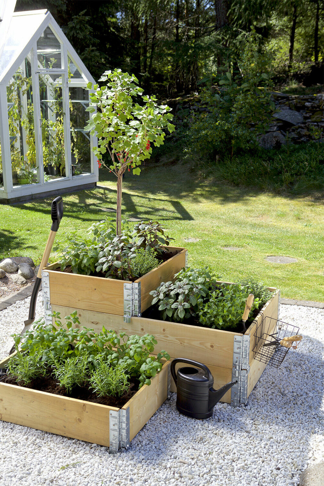 Våga plantera både örter, grönsaker och blommor i dina pallkragar i år! Foto: Blomsterlandet Vad kan man odla i pallkrage? Allt från bärbuskar till grönsaker!
