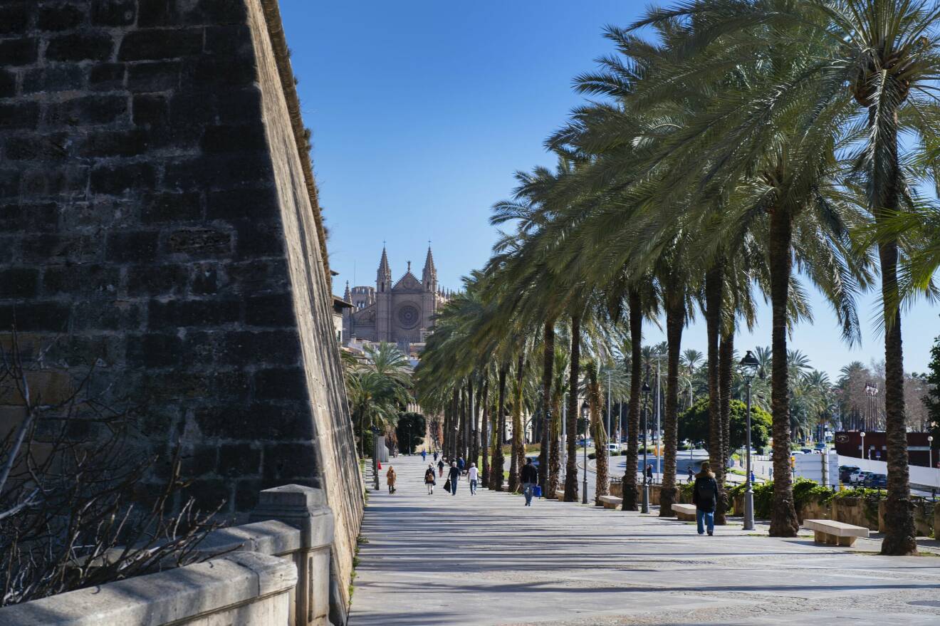 Stadsmuren och katedralen i Palma de Mallorca.