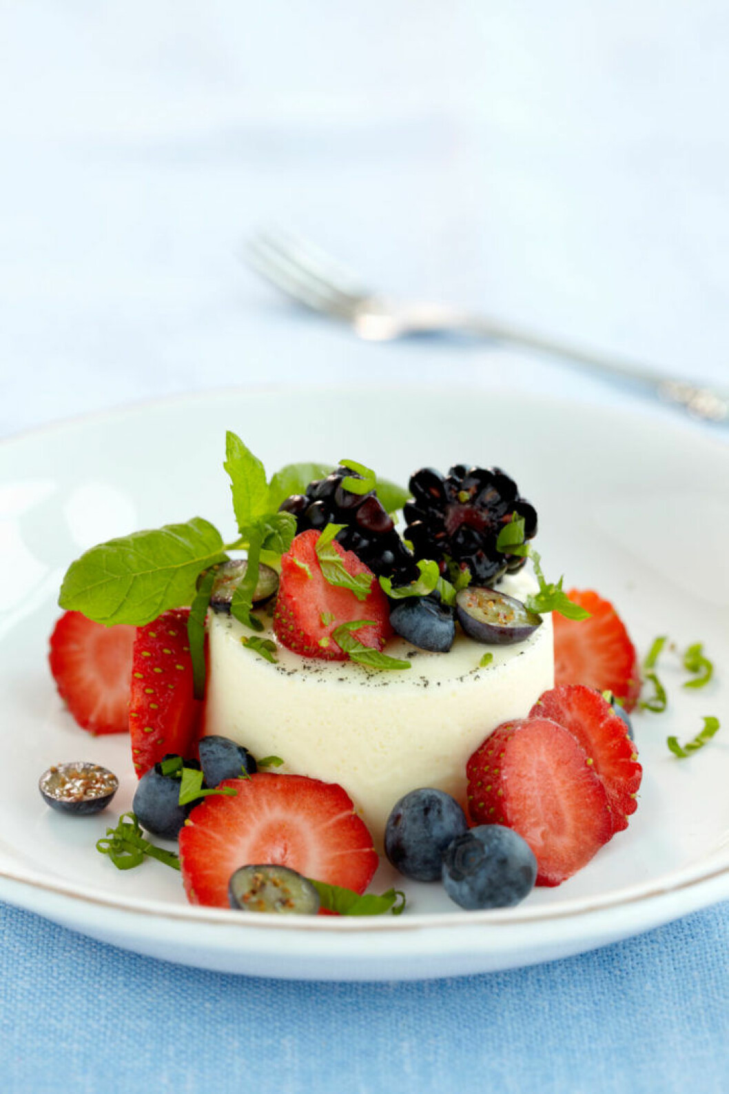 PANACOTTA