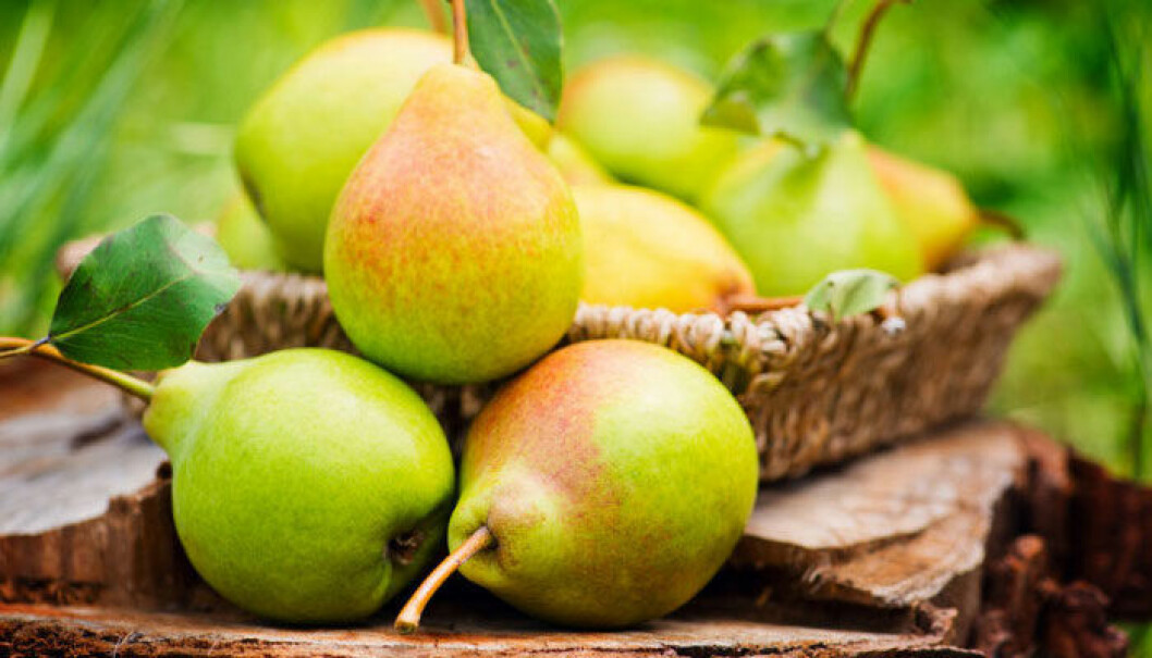 pear-paron