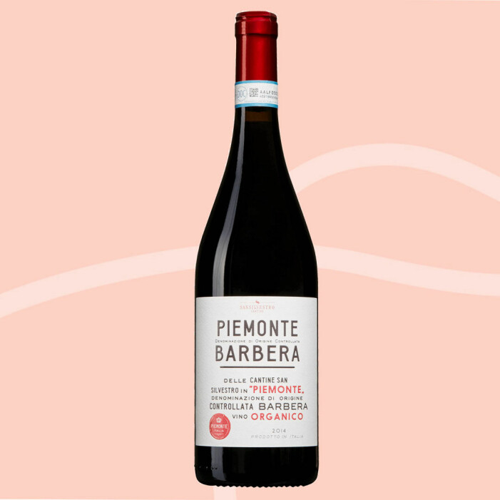 Ekologiskt vin Piemonte Barbera