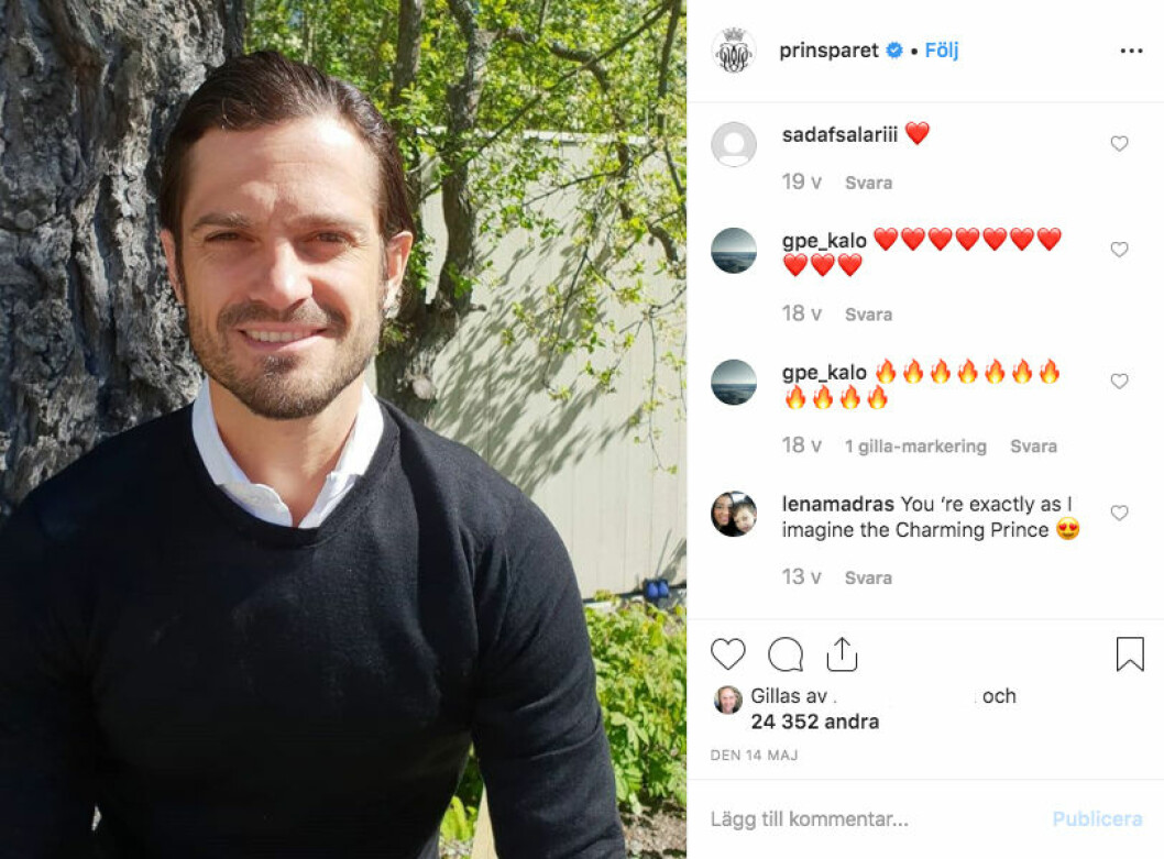 En grönskande trädgård och staket mot insynen. prinsparet