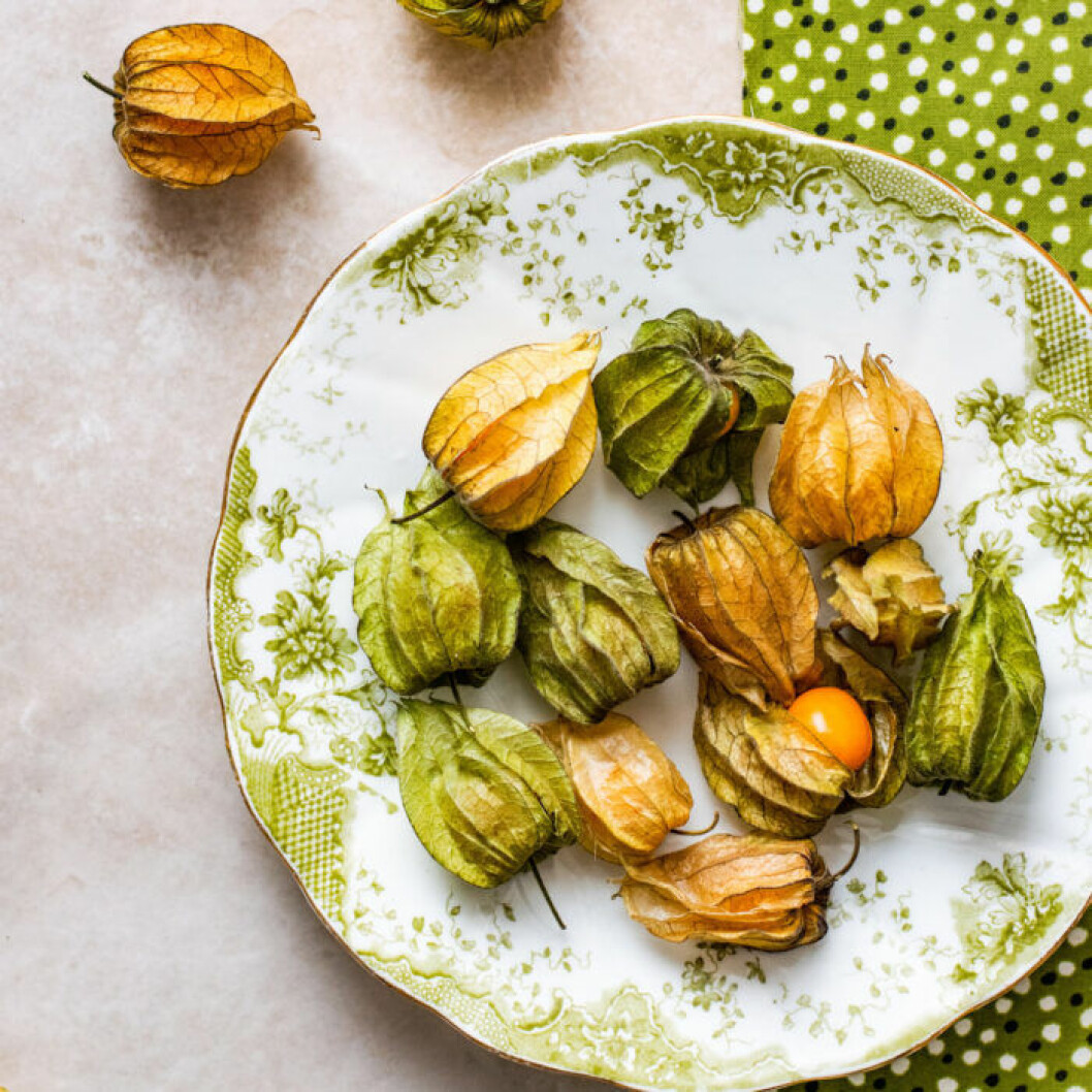 physalis