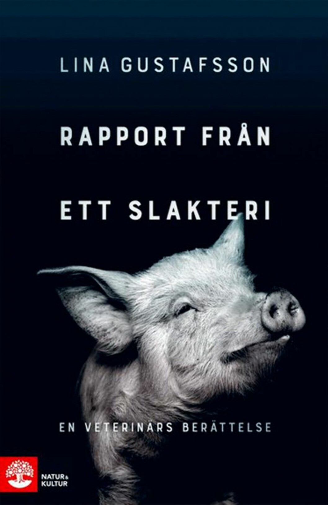 Svårsmält reportageskildring. Bokomslag till Rapport från ett slakteri, en svartvit bild på en gris.
