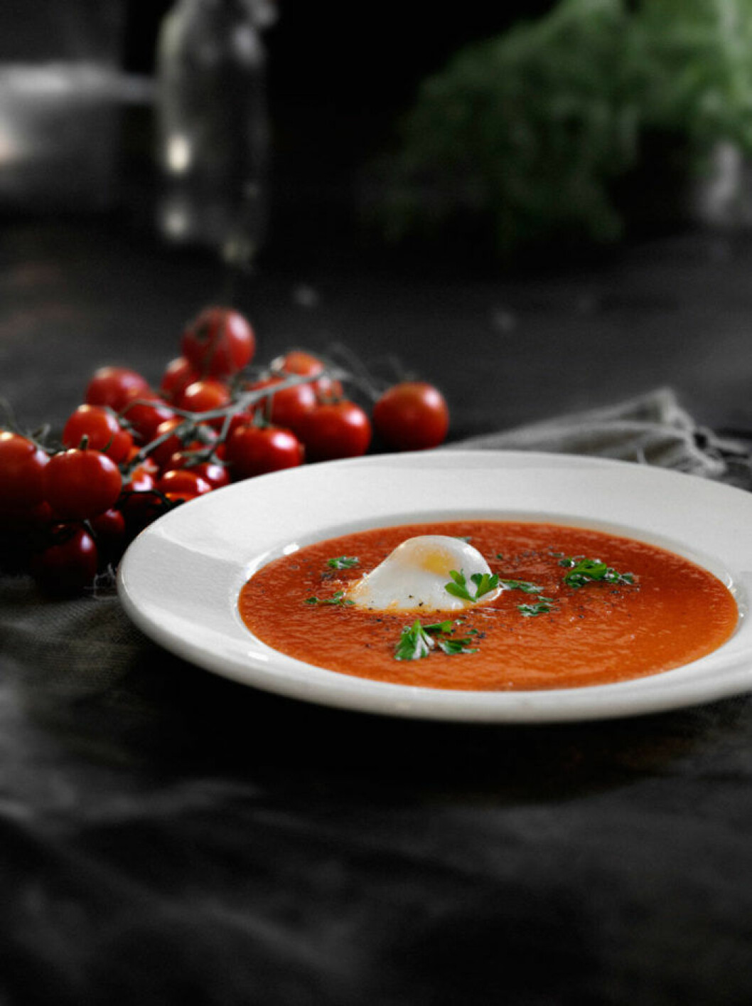 Ljuvlig tomatsoppa med vitlök. tomatsoppa i vit tallrik med färska tomater brevid