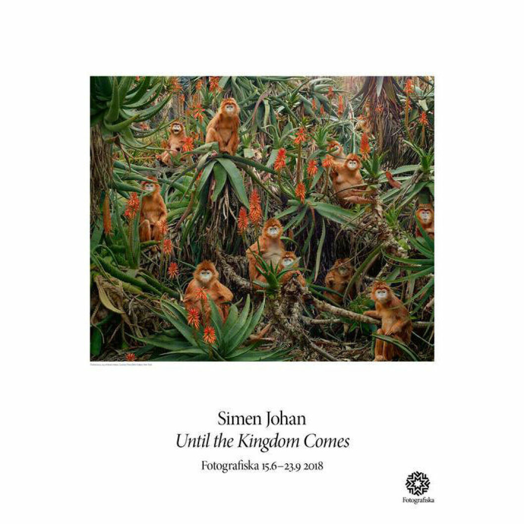 Fotoposter med röda apor av Simen Johan