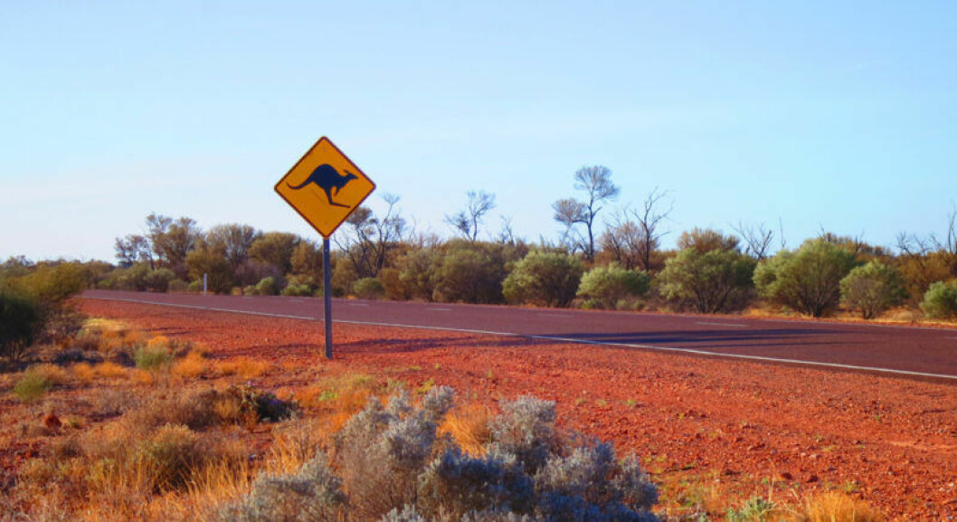 Den australiensiska outbacken bjuder på både tystnad och äventyr. Australiensiska outbacken