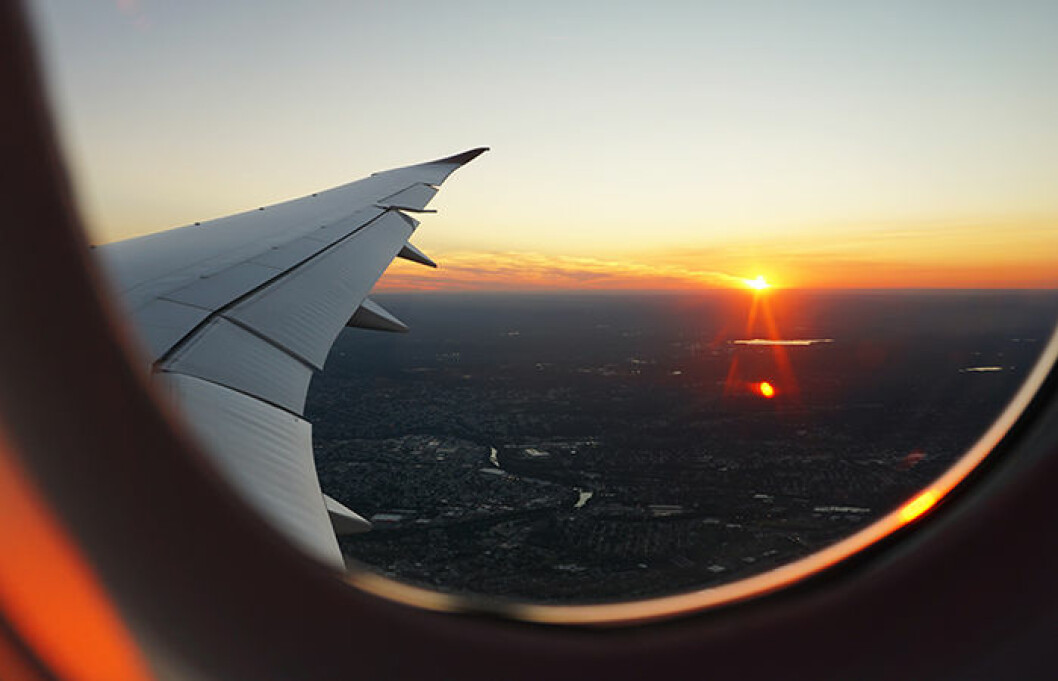 Foto: Eva Darron/Unsplash