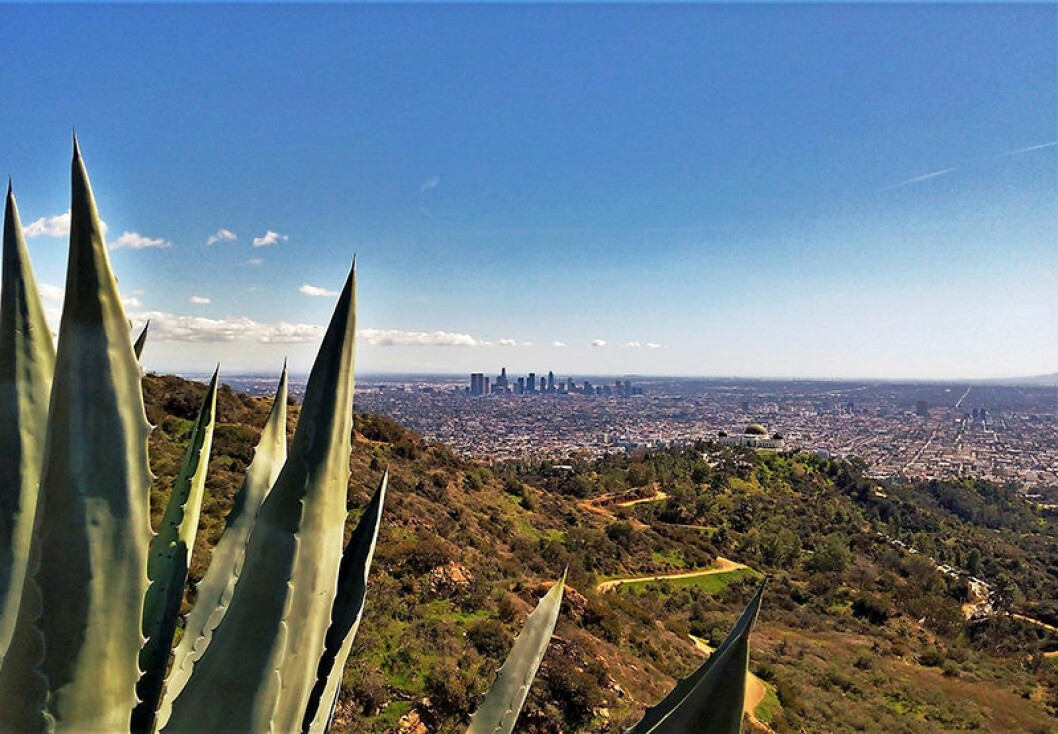 Cecilia Blankens Los Angeles tips