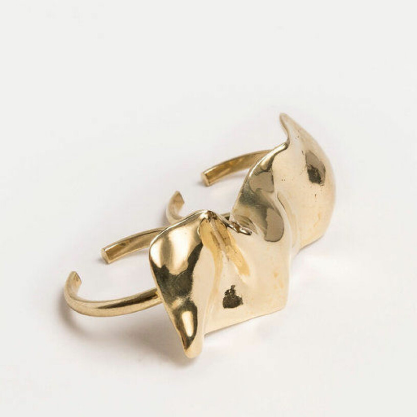 ring cornelia webb