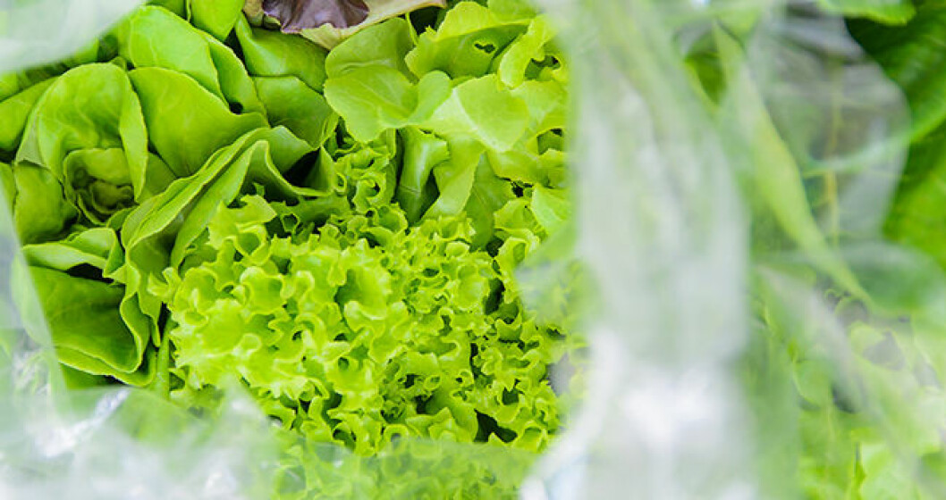 Foto: Shutterstock sallad-bag