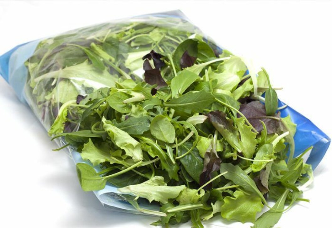 sallad i påse