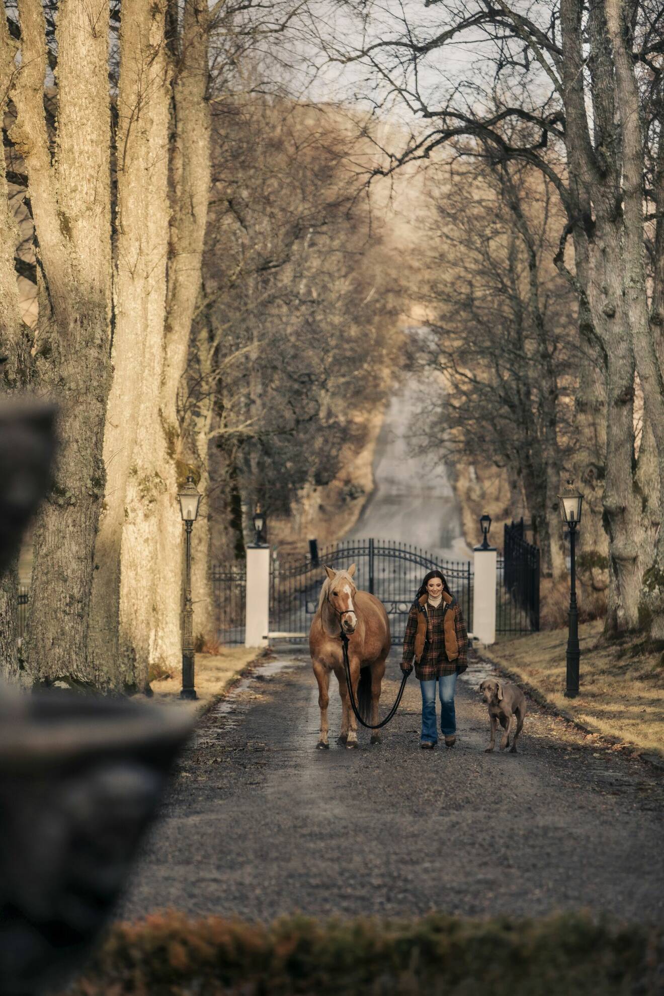 Sanna Lundell och en av hennes hästar och hund.