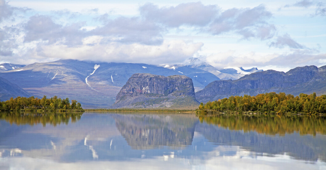 Sarek