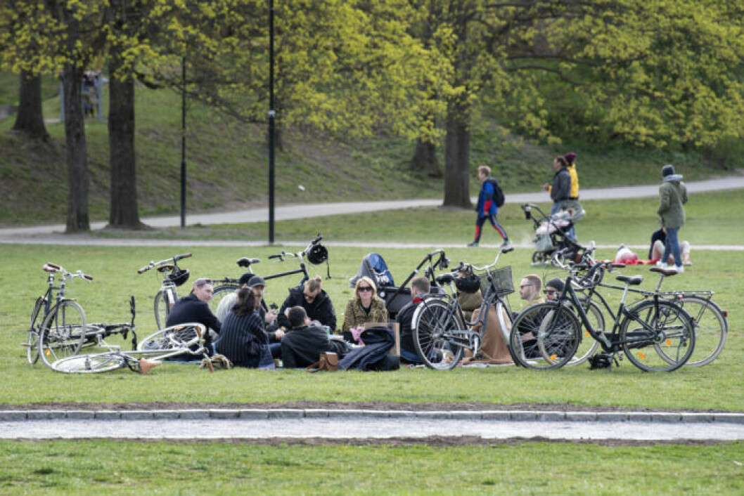 Människor umgås och har picknick i Rålambshovsparken. Foto: Jessica Gow / TT