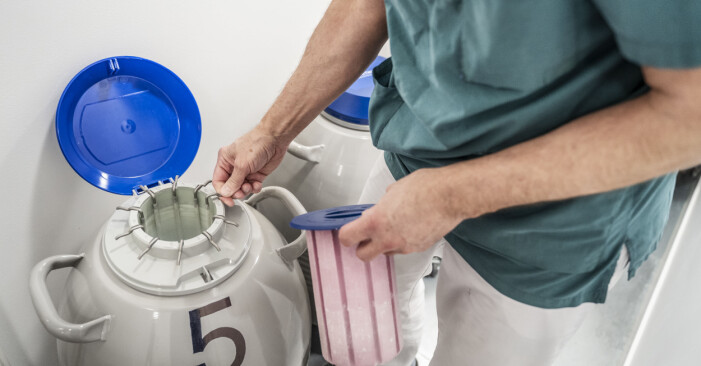 På IVF-kliniken sparas äggen i flytande kväve. I stora tankar förvaras de nedfrysta äggen.