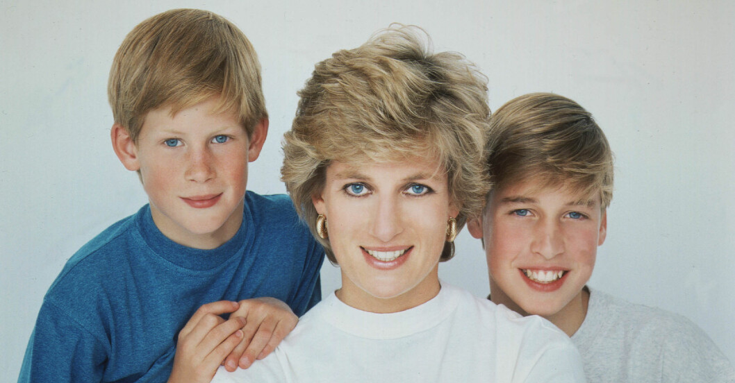 Prins Harry, mamma Diana och prins William 1995. Harry, prinsessan Diana prins William 1995