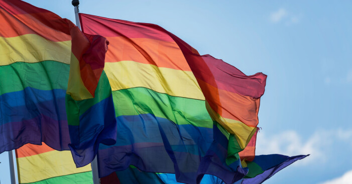 Prideflaggan. Prideflaggan