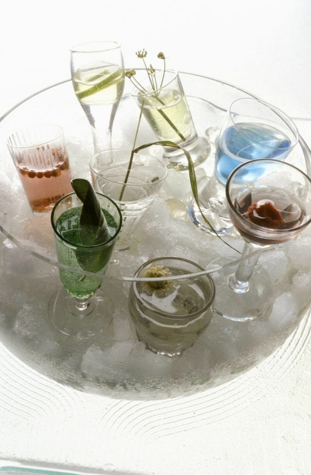 Kyl drycken på ett kreativt sätt. Cocktails på kylning