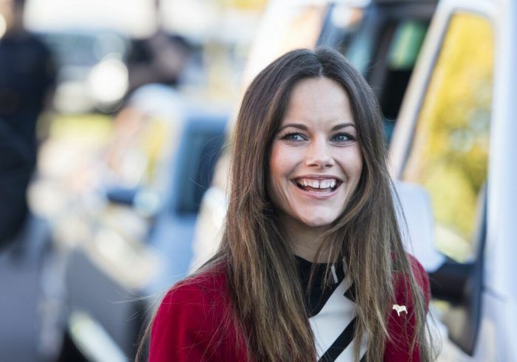 2015 visade gärna prinsessan Sofia sitt vackra leende. 2015 visade gärna prinsessan Sofia sitt vackra leende.